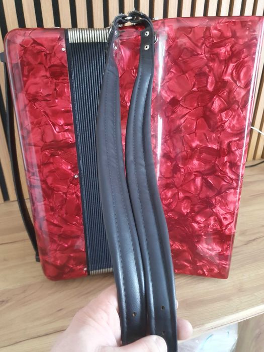Acordeon Delicia 120 basi