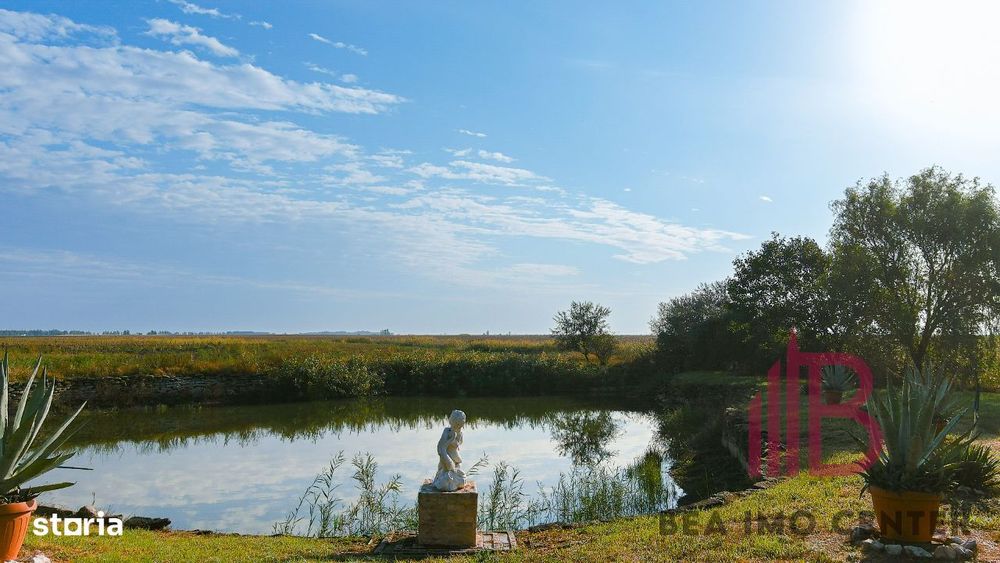 Fermă agricolă, luciu de apă și 247 pomi fructiferi