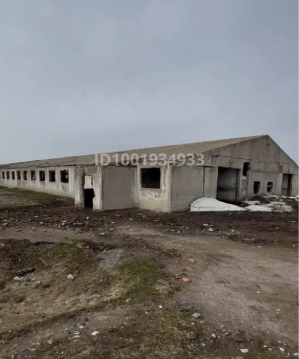 Фазенда, откорм база сатылады