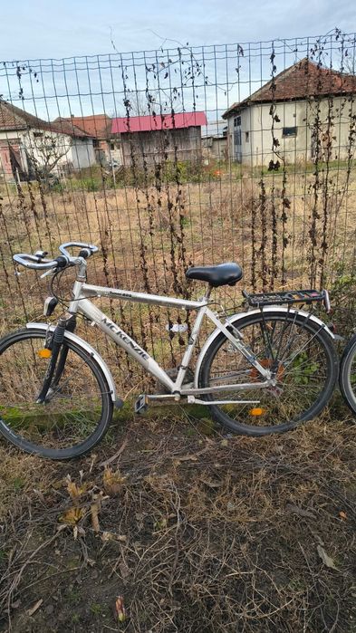 Biciklete stare buna