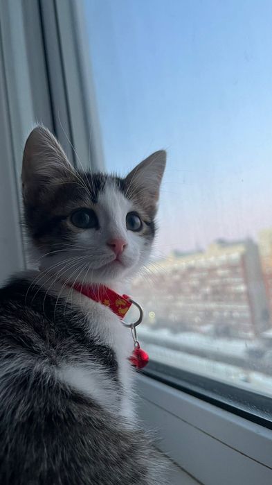 Катенька 2 месяц мальчик