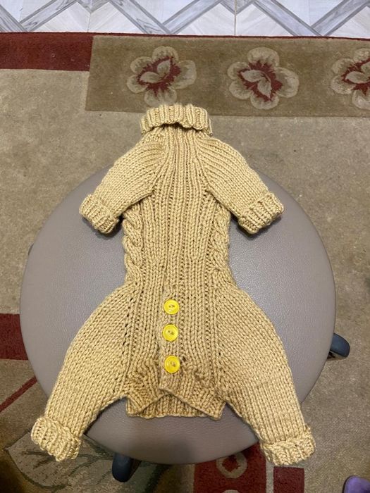 Вязаная одежда для собак