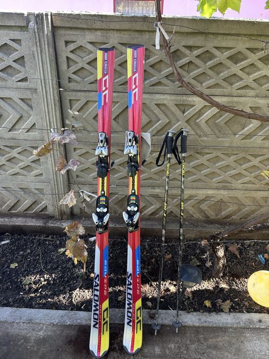 Schiuri salomon husa bete