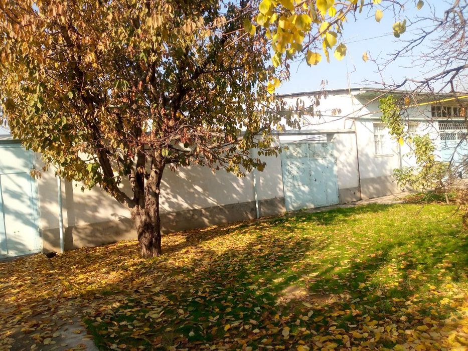 Ipadromda yer sotiladi 11.5 sotih