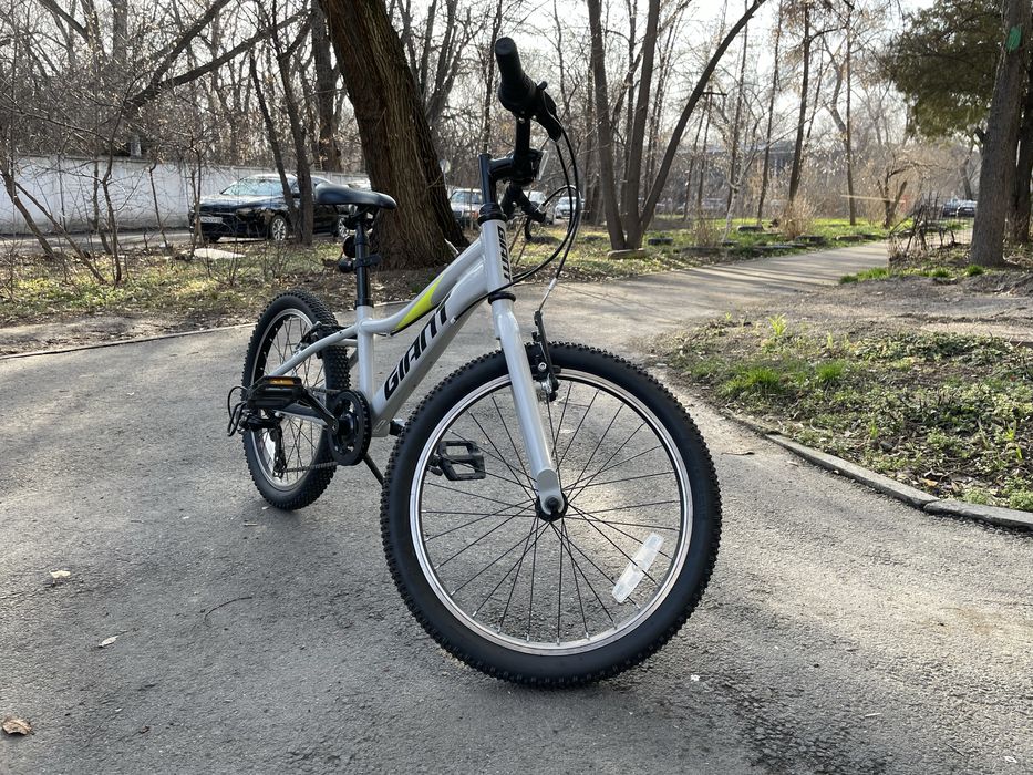 Детский Велосипед Giant XTC Jr 20 Lite 2022