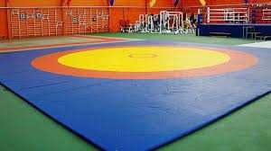 Борцовский ковер (без матов), 6м х 6м