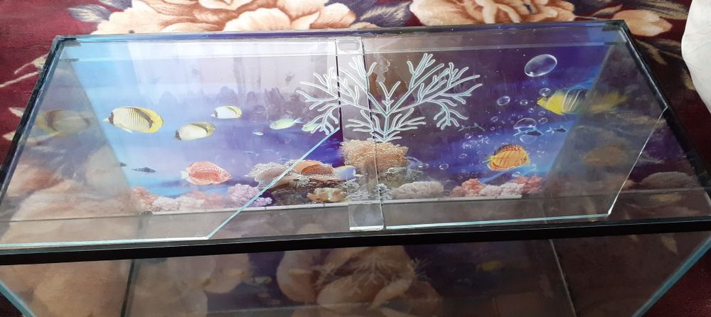 Аквариумы 75, 15 литров