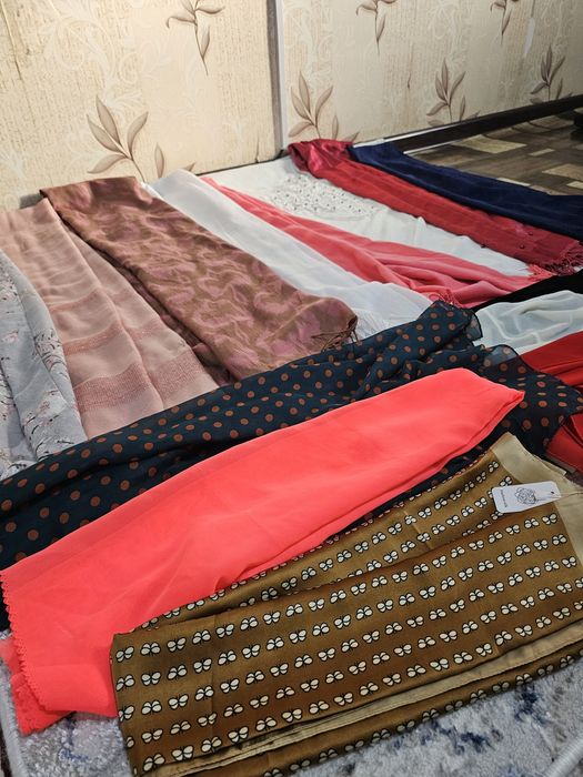 Romollar Shariflar bomba narxlada