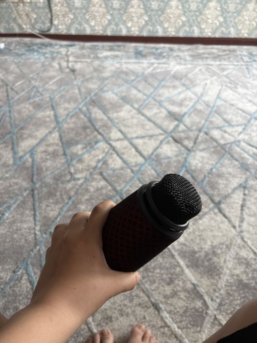 калонка с мекрафонам