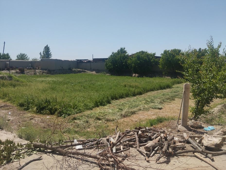 Toshrabot MFY uchaska va 3 ta sexlar sotiladi,6 x 13 bokisi bor