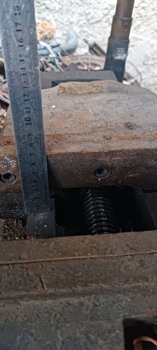 Тисы советские большие