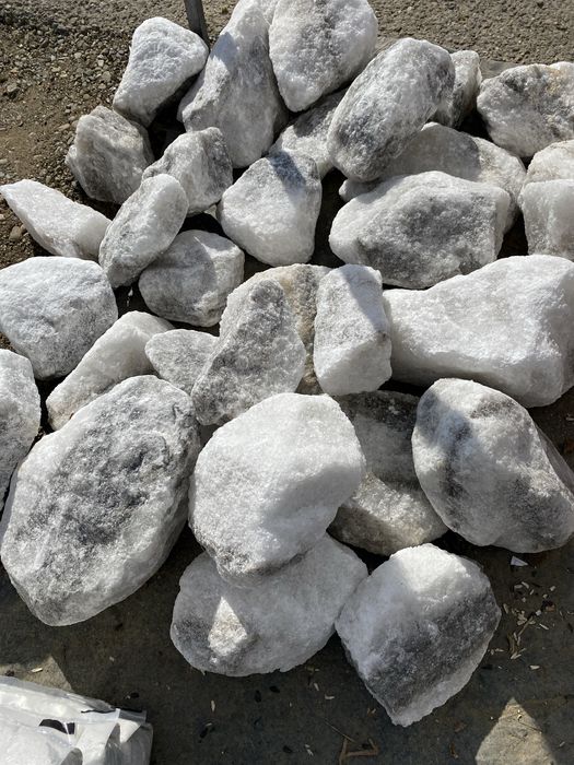 Vind cartofi de consum transport gratuit pret 2lei kg