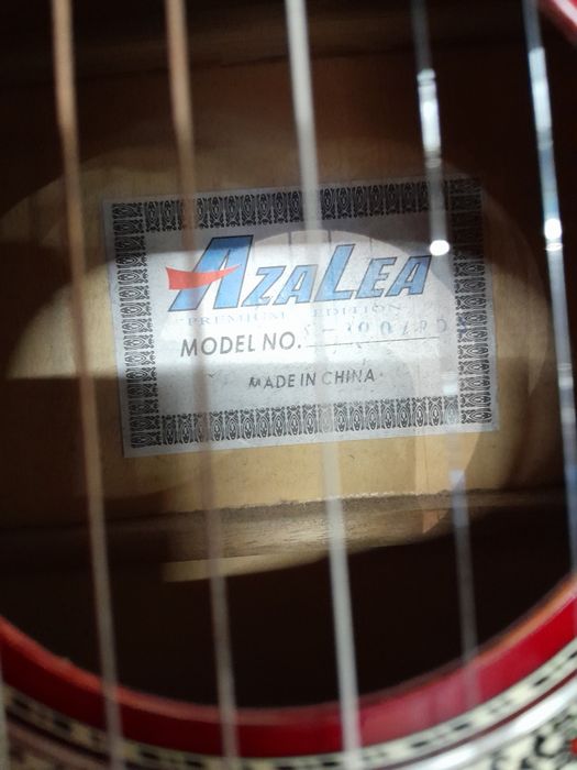 Гитара AZALEA с чехлом