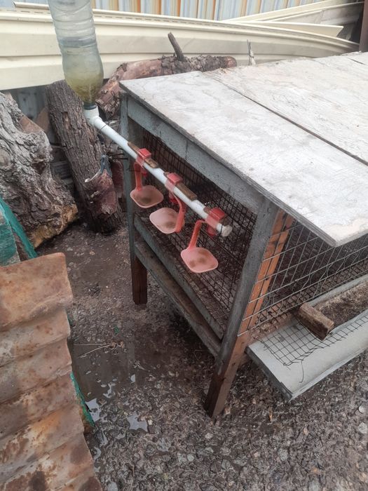 Клетка для перепелов