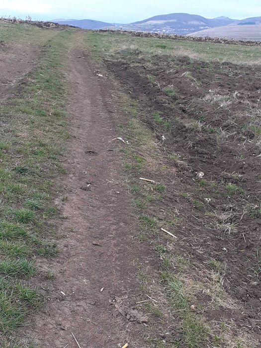 Vand 3000 mp teren extravilan cu drum de acces  Comuna Ciurila