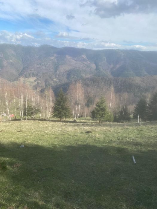 Teren intravilan