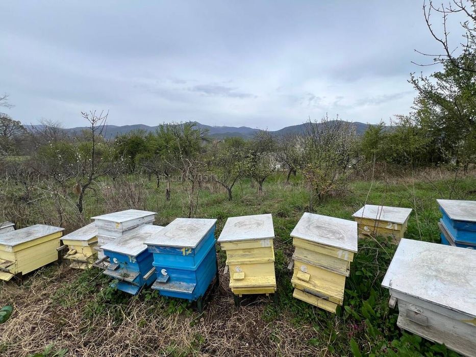 Живописен Парцел 251 кв. в Казанлък и Енина - Вилна Зона "Старите Лозя"