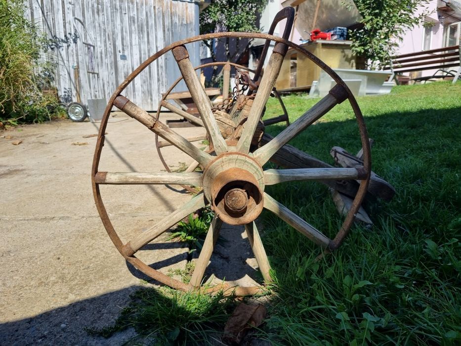 Plug rustic pentru decor