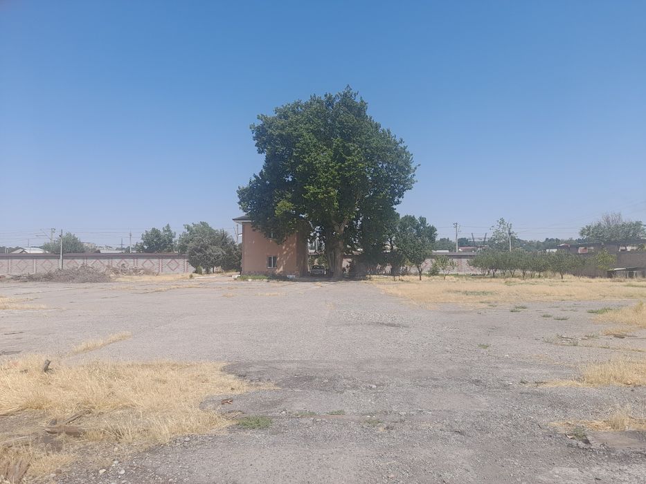 Аренда земелных терретории