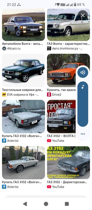 Волга, соболь,газель