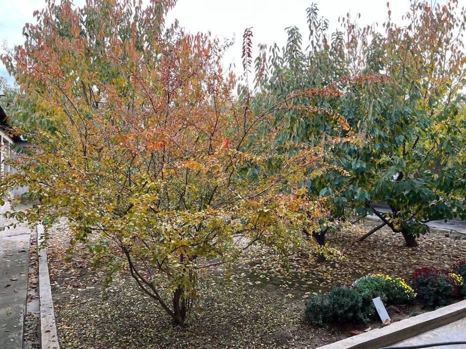 Кибрай марказида уй сотилади