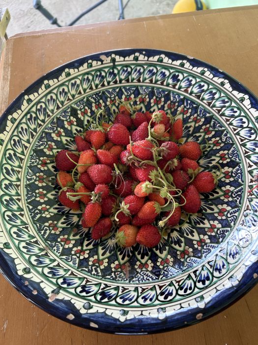 Продаем дачный дом