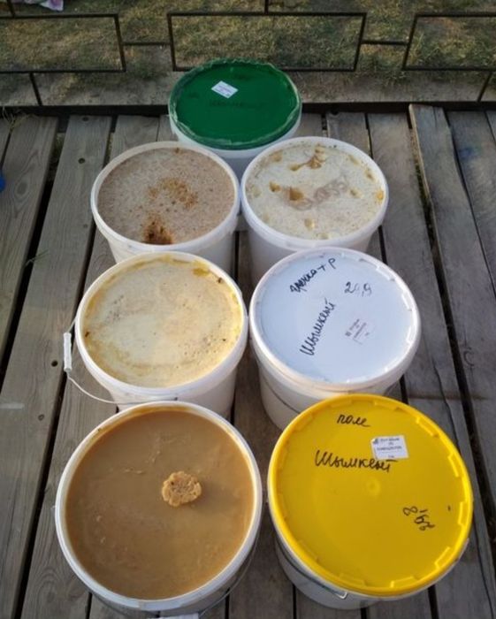 Мед Алтайский оптом