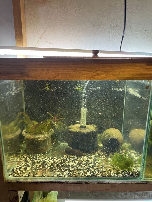 Аквариум 35 литров