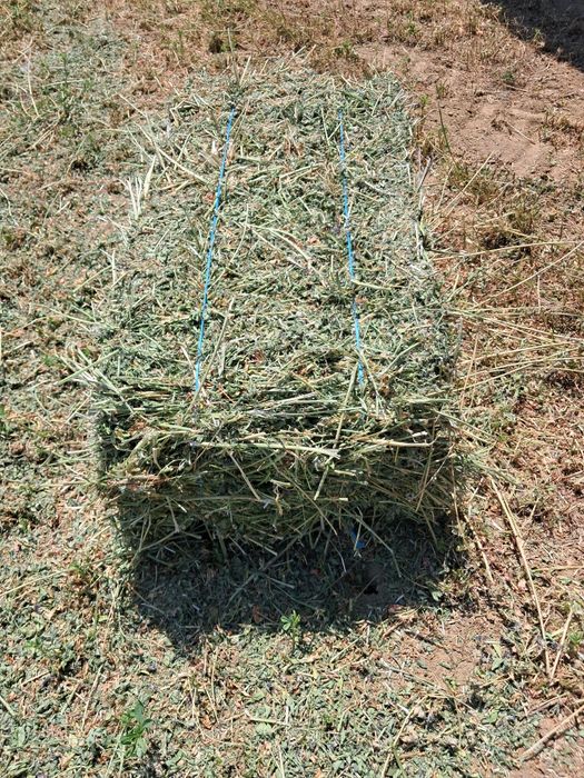 Продавам люцерна