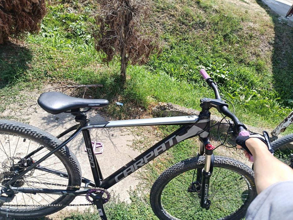 Carpat Pro Limited Edition , Custom build