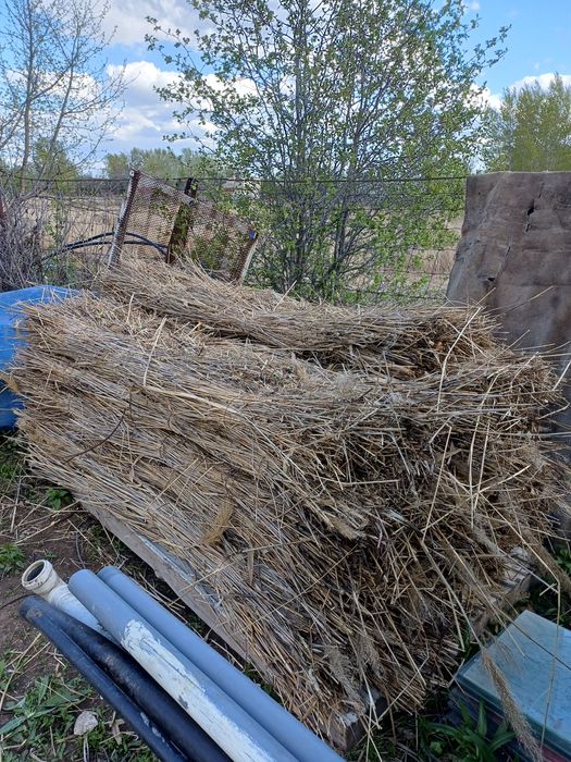 Продам камыш плиты.