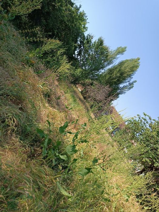 Yuqori Chirchiq yangibozor kavardonda uchastka sotiladi