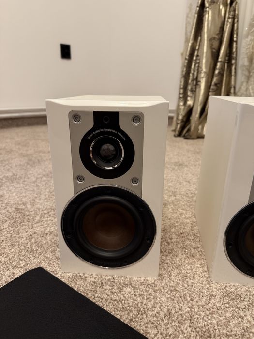 boxe raft profesionle dali opticon 1