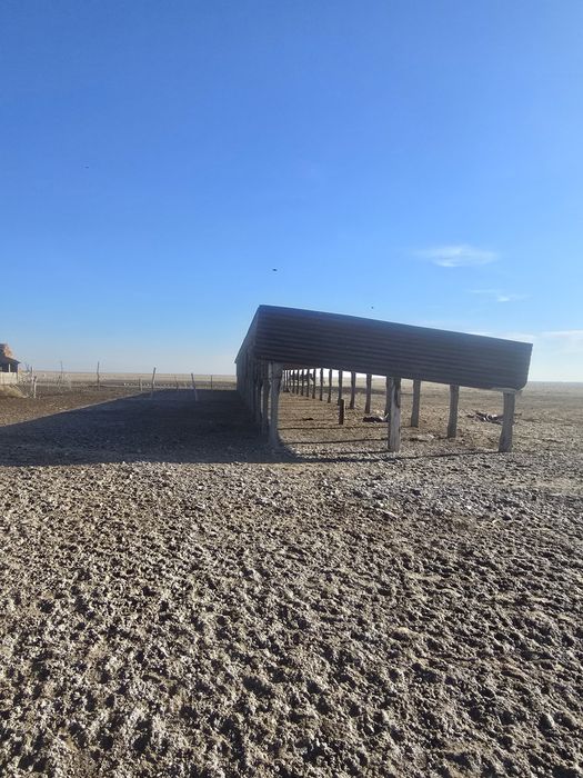 Фазенда мал шаруашылығына