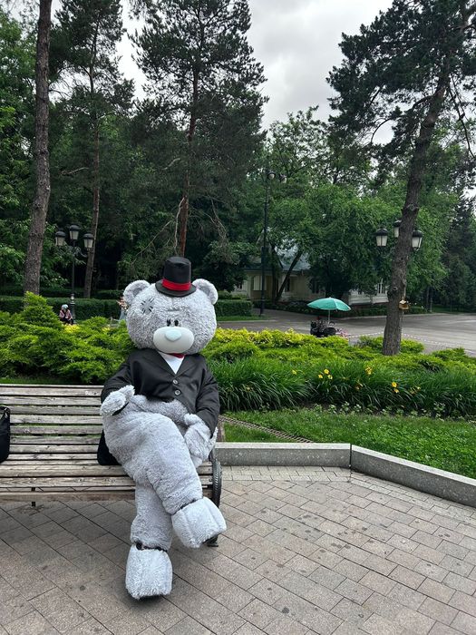 Поздравления от Тэди Мишки и костюмы напрокат