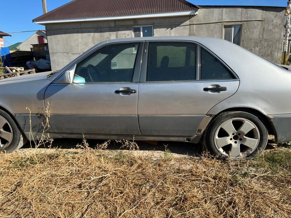 Продам кабан срочно