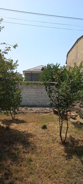 Majnuntol mahalla(Bektemir) 3soti+3soti ogorod yer sotiladi