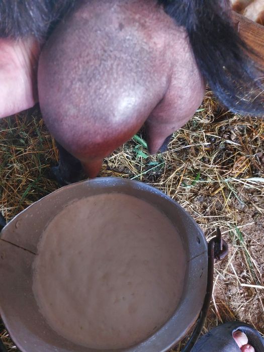 15 capre selectate de vanzare