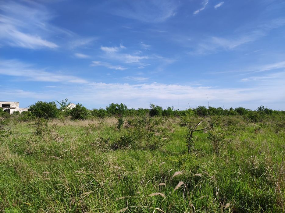 Teren 14000-34000mp intravilan curti constructii