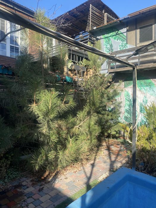 Садовые растения