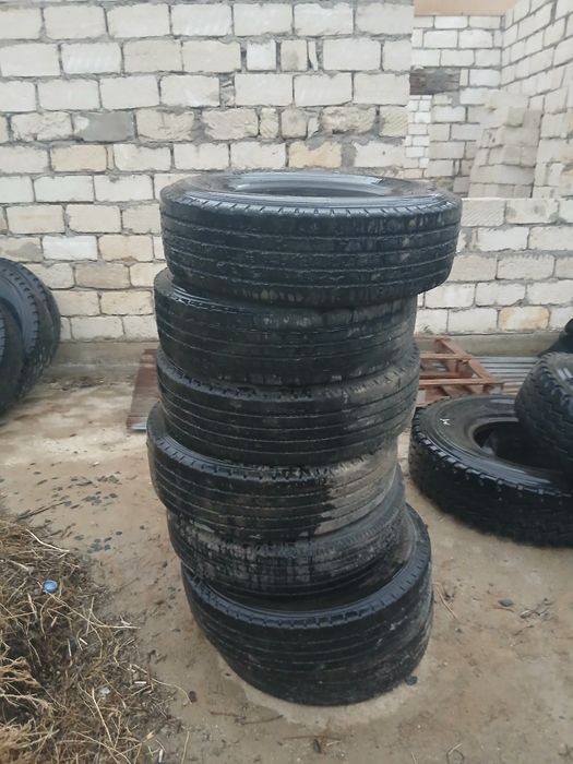 Трал дөңгелектері