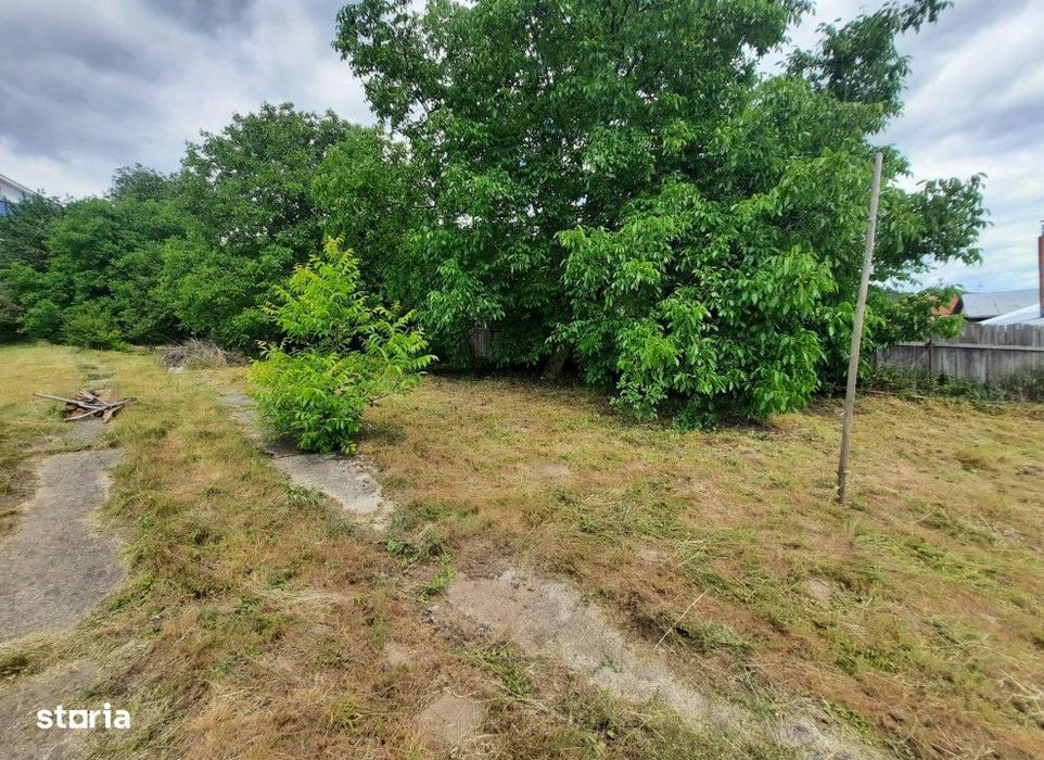 Teren intravilan Valea Vie , 1000 metri Cod:147432