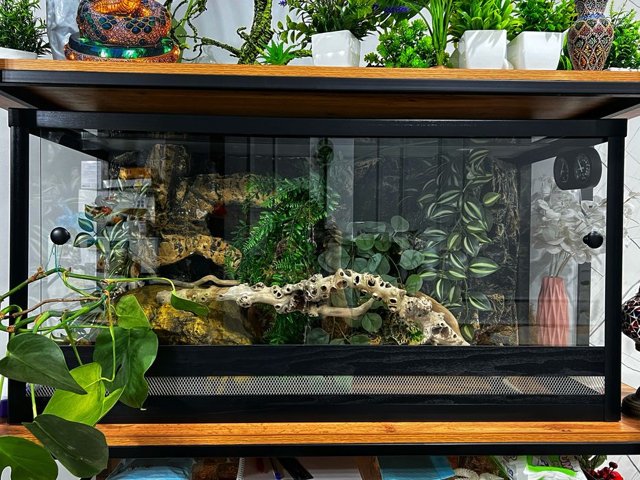 Продам террариум