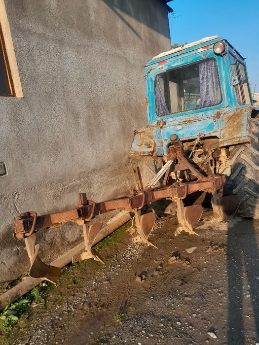 Holati alo tilichka alohida