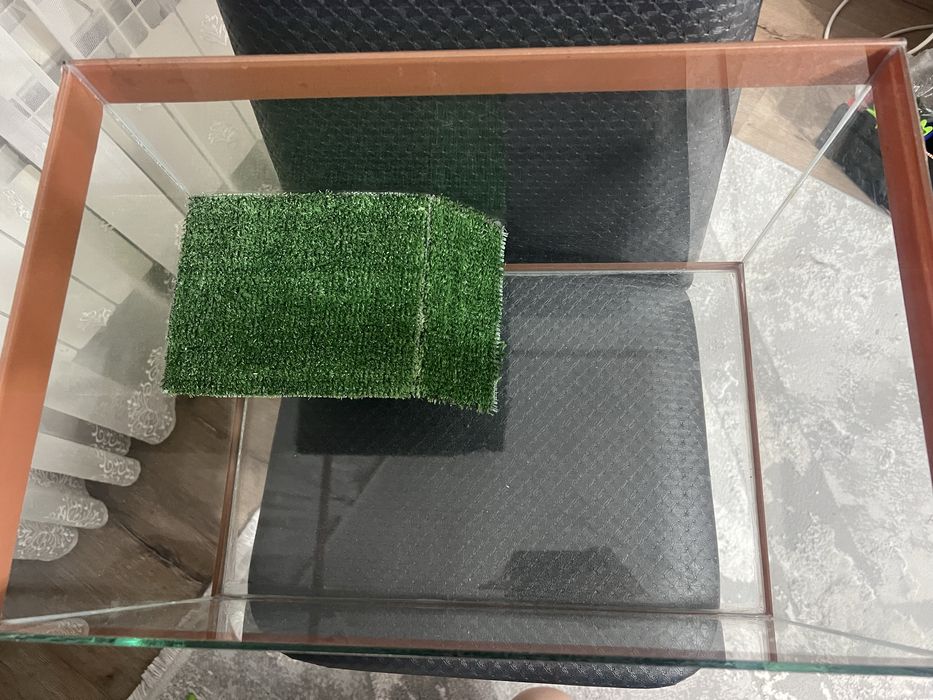 Продажа аквариума