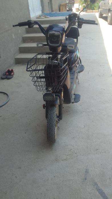 Arzon sukuter  kafolat