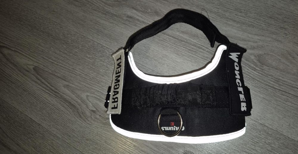 Нагръдник за куче Carinura /М/