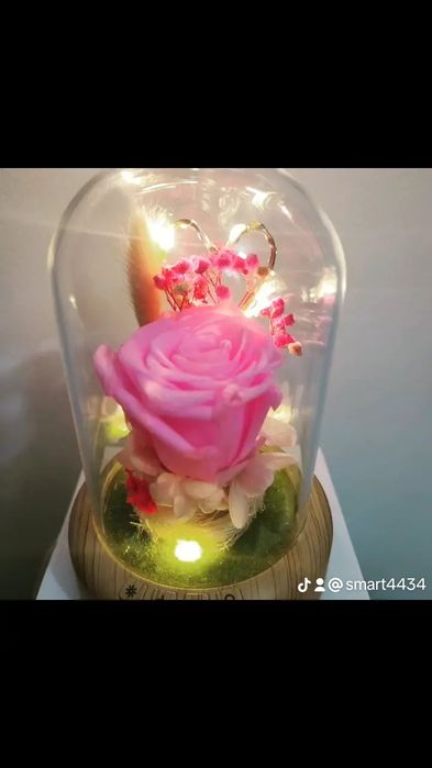 Розы в колбе ,колонка