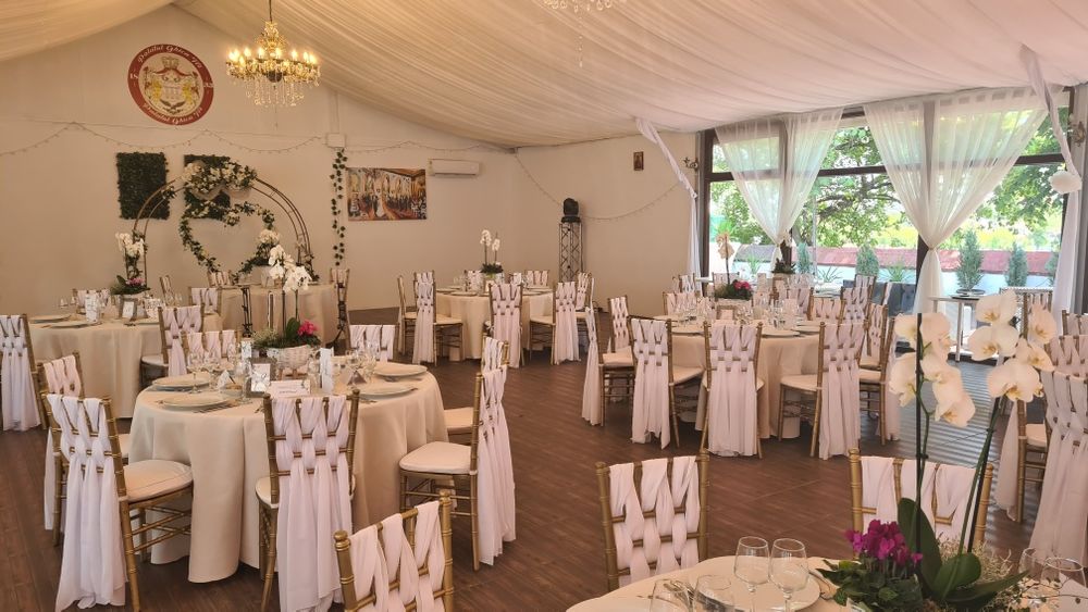 Scaune chiavari de inchiriat Gold & White