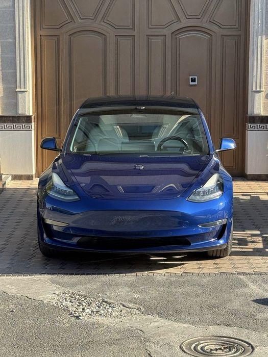 Tesla Model 3 Performance | 2020